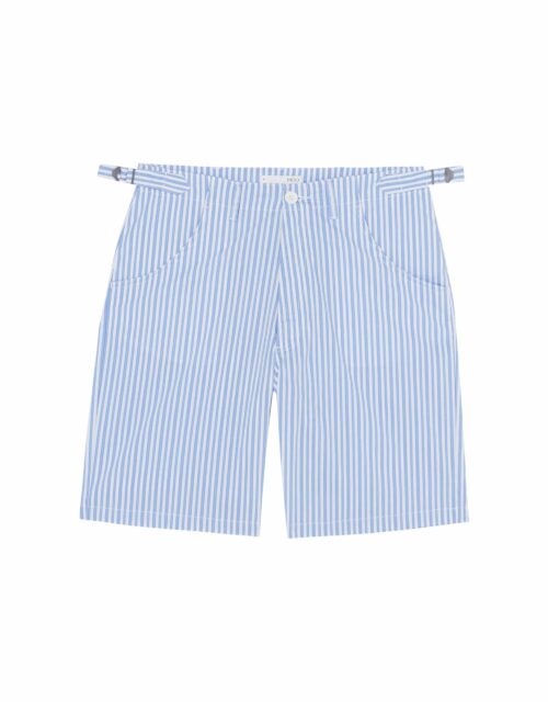 Casual Blue Striped Shorts